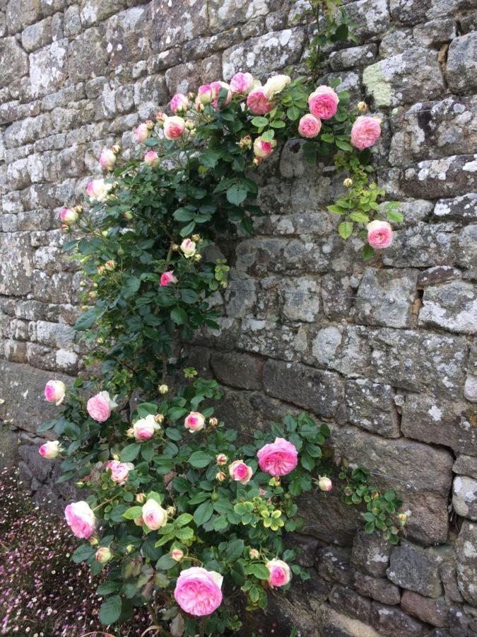 Le clos Saint Aubin Carnac Exterior foto